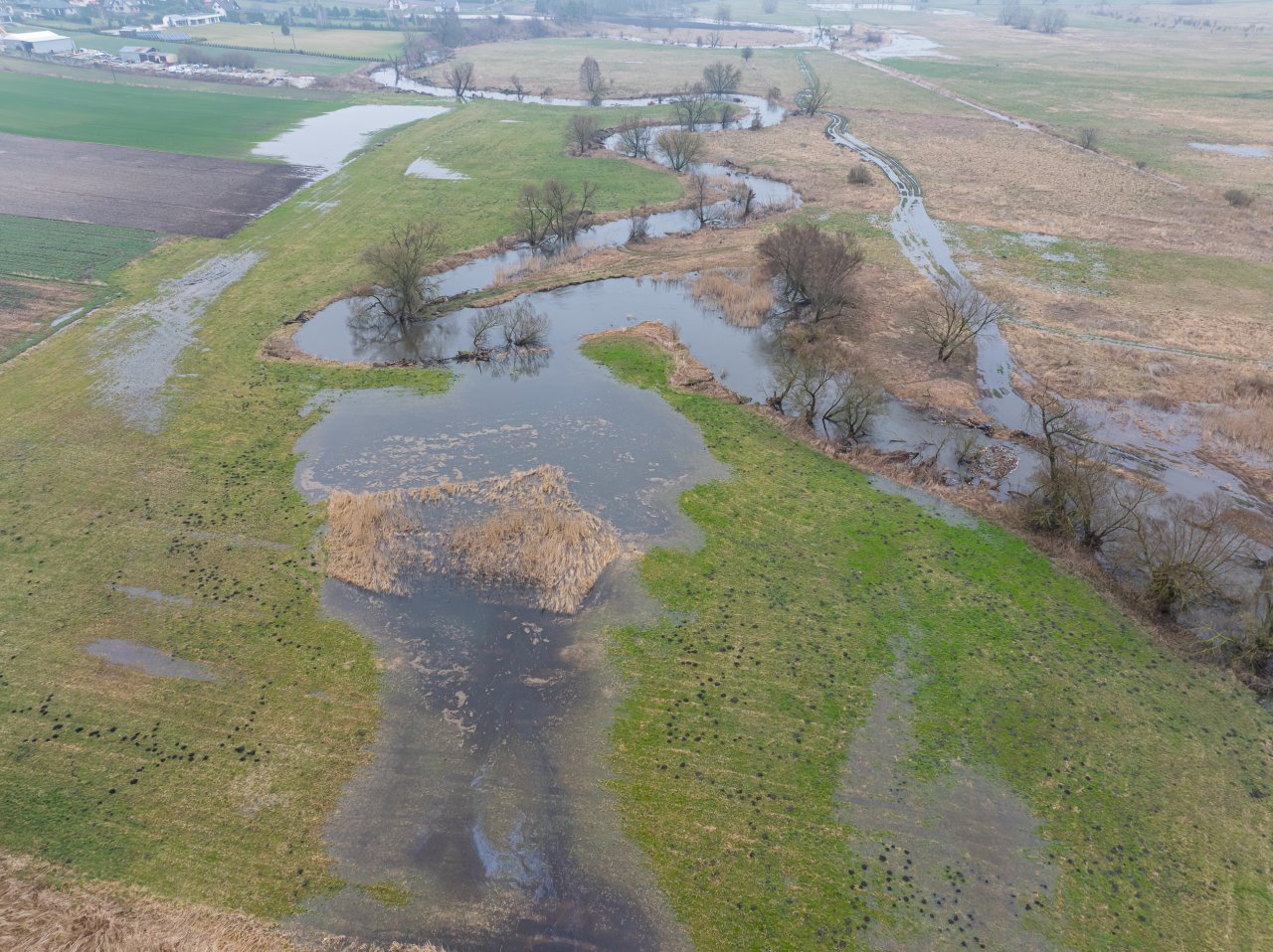 DJI_20240305115652_0878_D-Poprawione-Szum