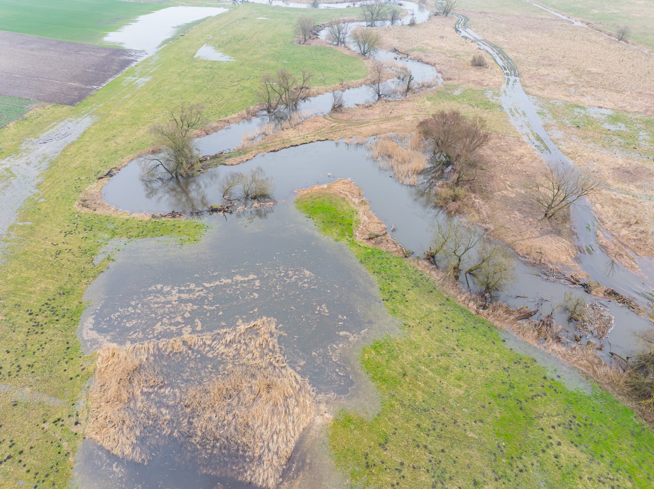 DJI_20240305115701_0882_D-Poprawione-Szum