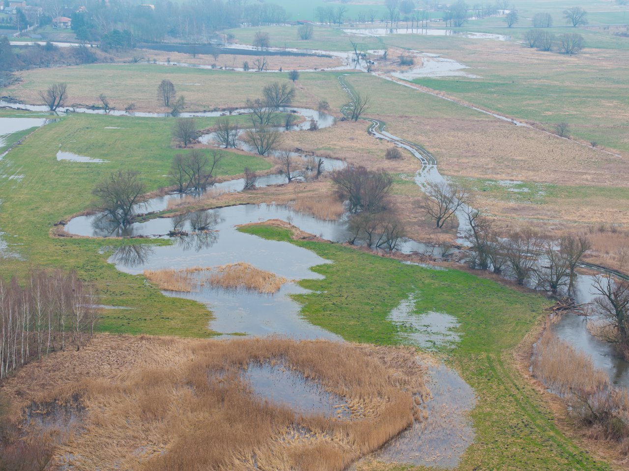 DJI_20240305120817_0968_D-Poprawione-Szum