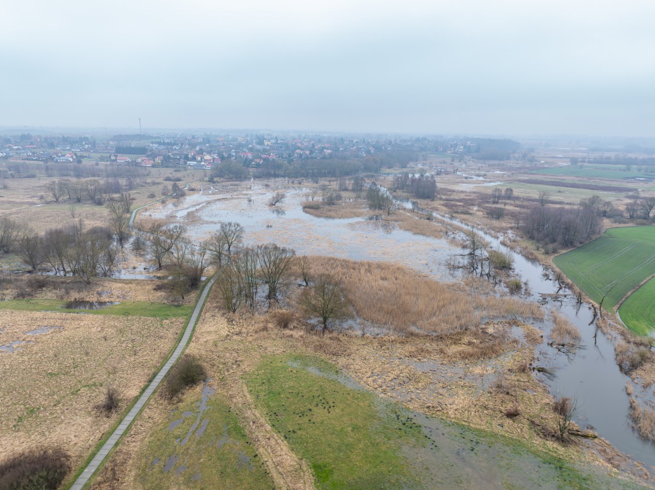 DJI_20240305121407_0992_D-Poprawione-Szum