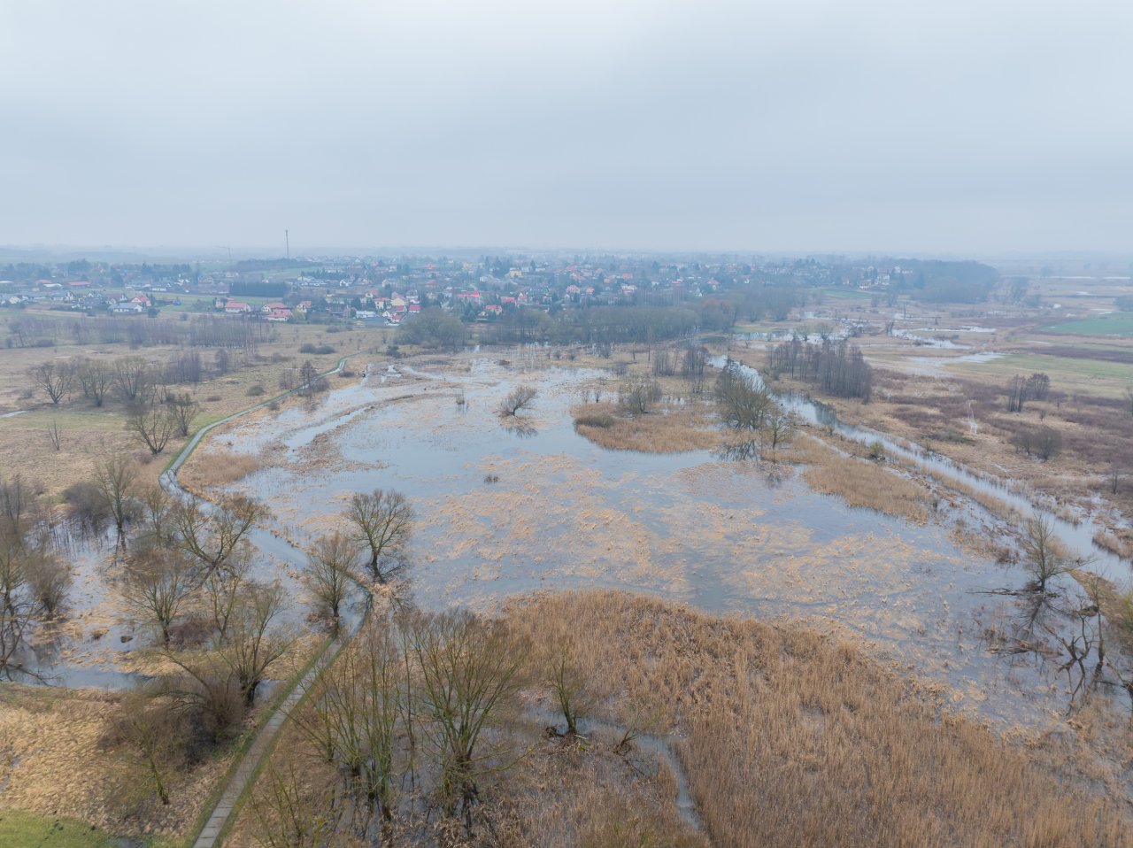 DJI_20240305121418_0995_D-Poprawione-Szum