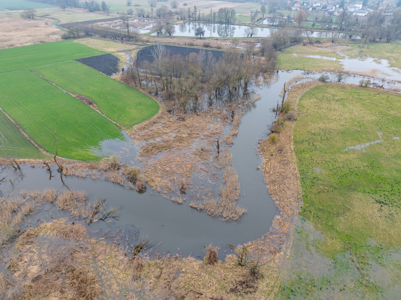 DJI_20240305121427_0002_D-Poprawione-Szum