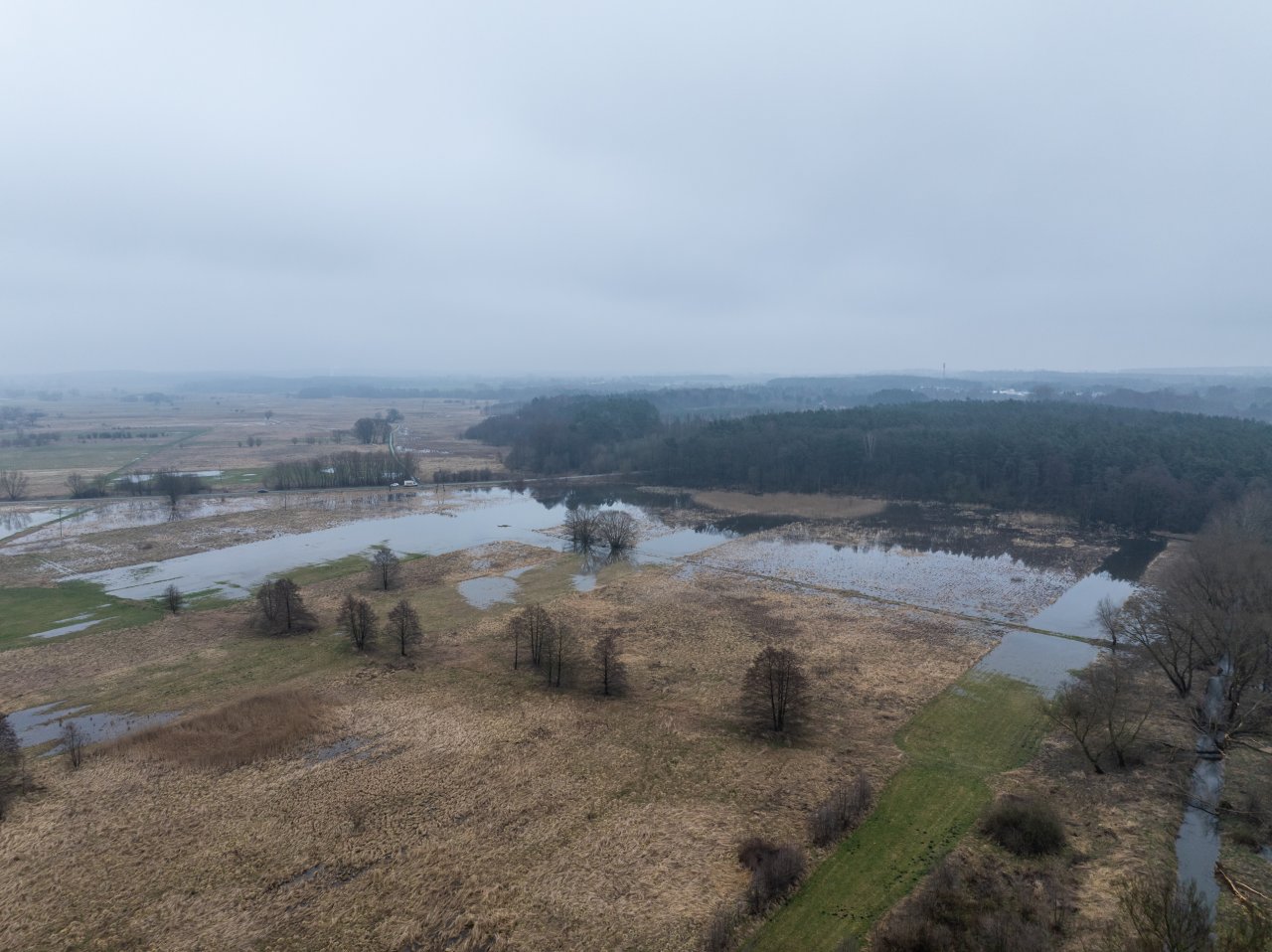 DJI_20240305121448_0005_D