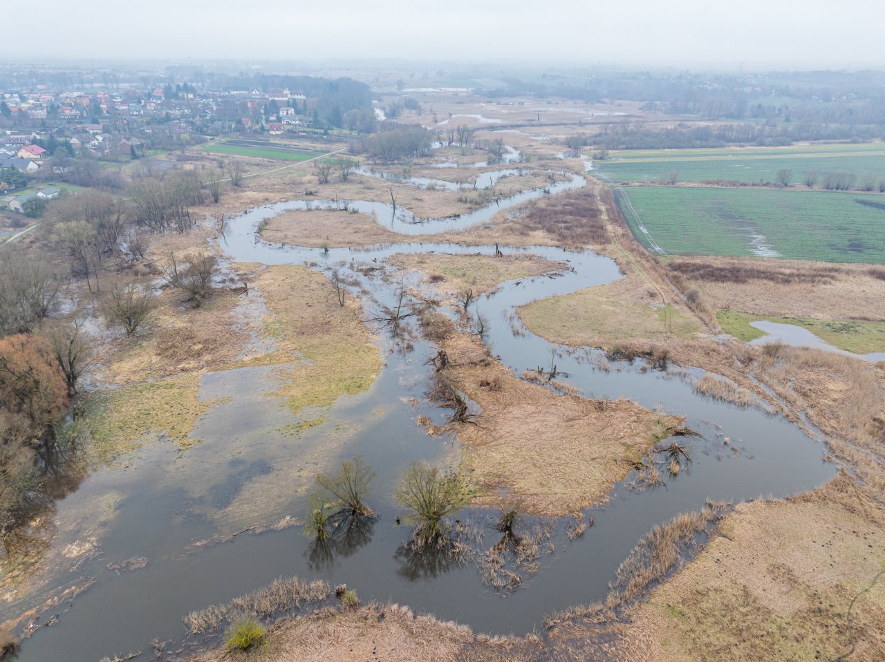 DJI_20240305121542_0016_D