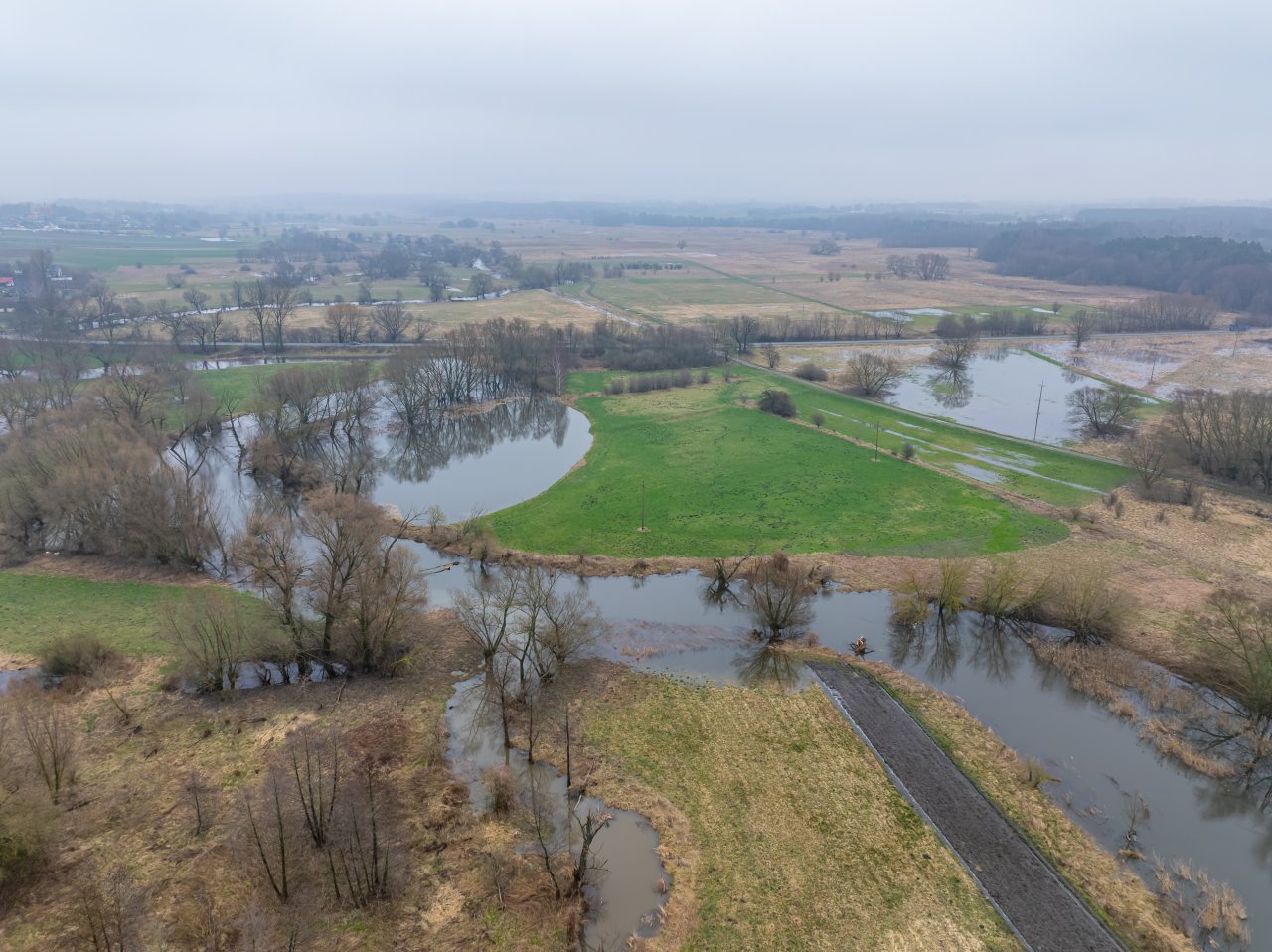 DJI_20240305121948_0050_D-Poprawione-Szum
