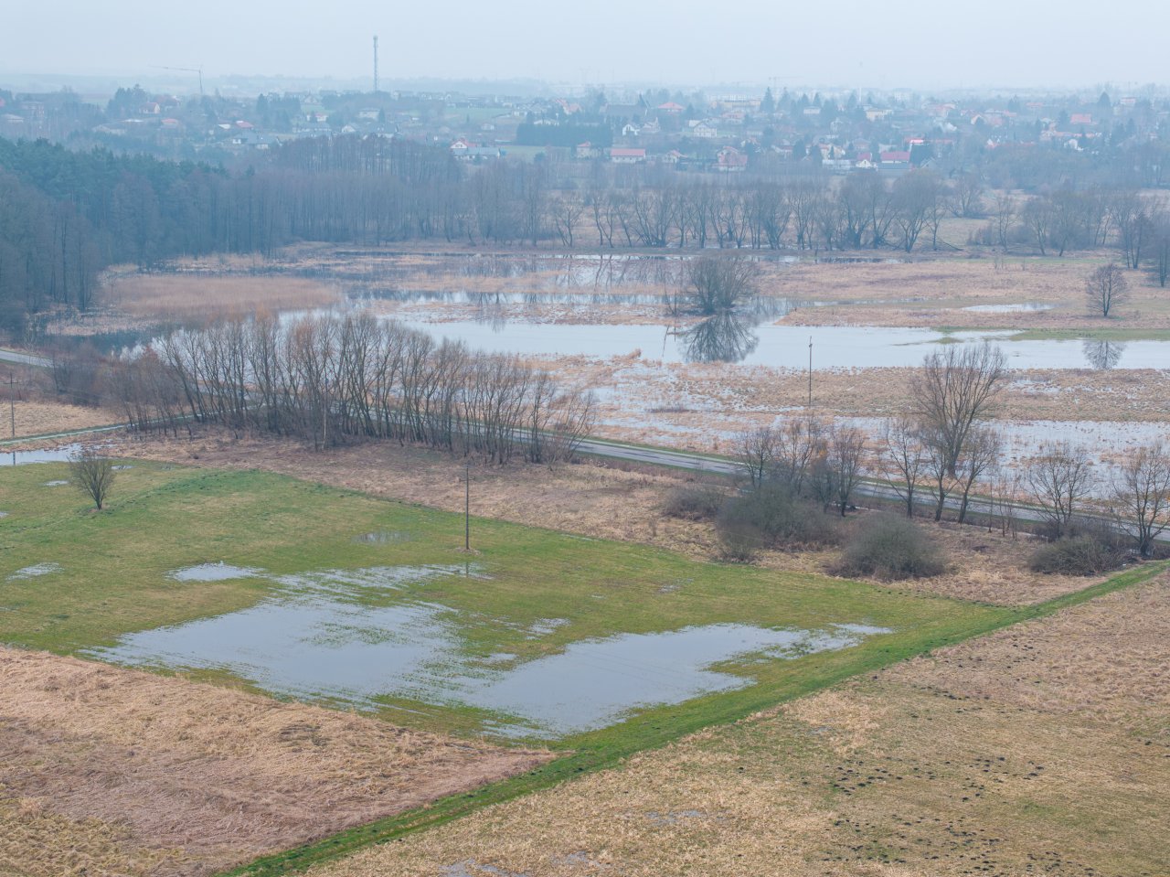 DJI_20240305122223_0089_D-Poprawione-Szum