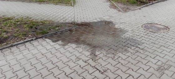 426612470_336879538774399_5220715874985524084_n