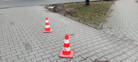 426614549_459785153046963_2071921763154584230_n