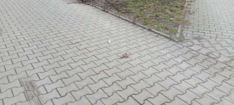 429989266_1810744002758989_1565591775017677145_n