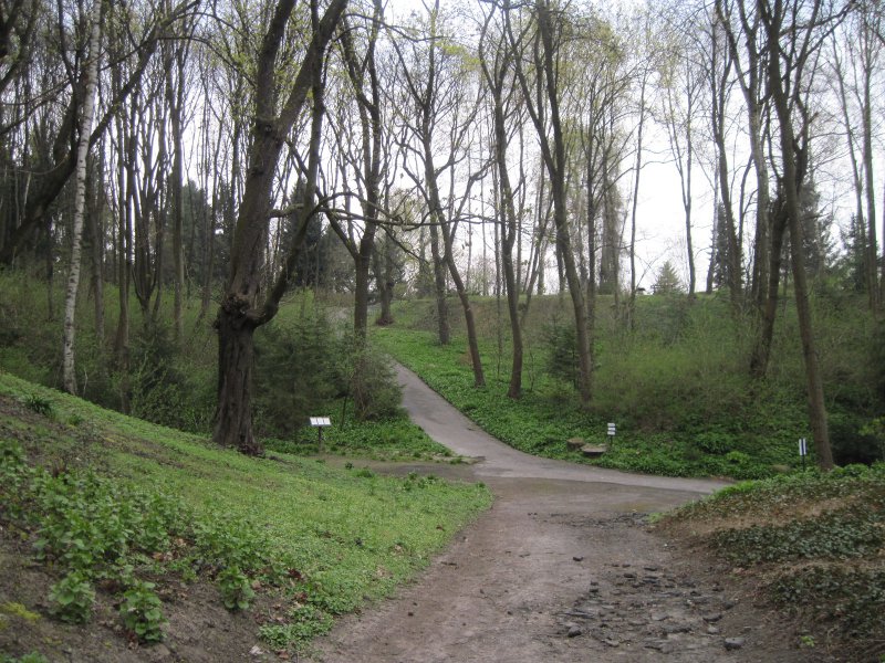 51