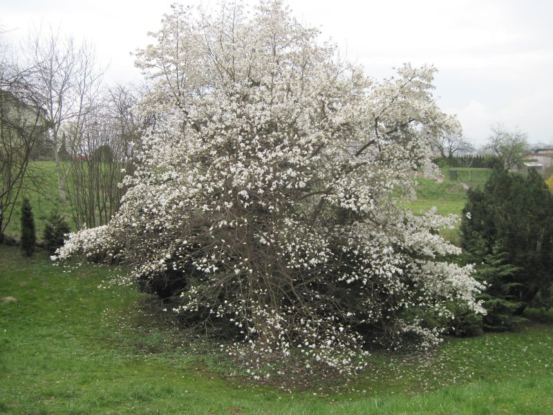 53