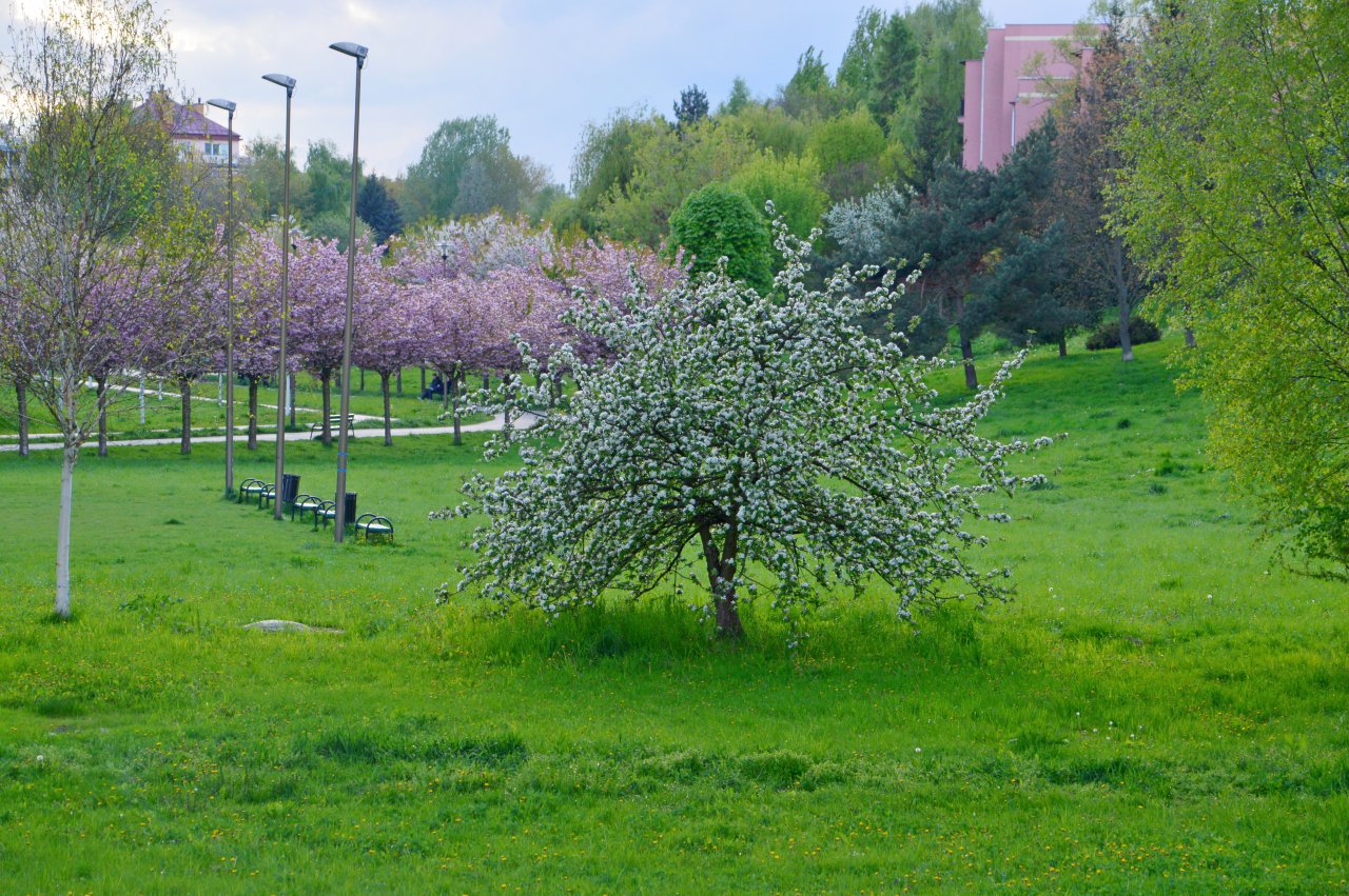 DSC_4316