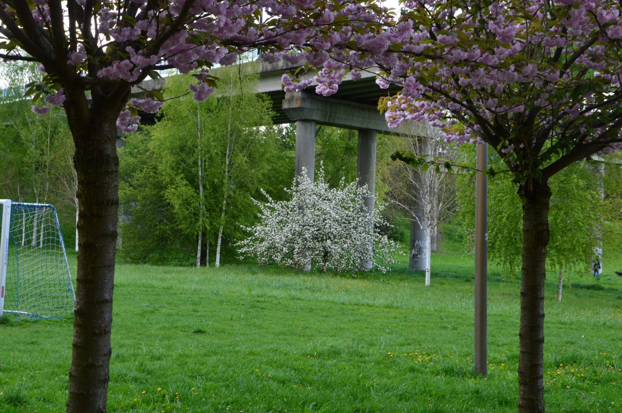 DSC_4347