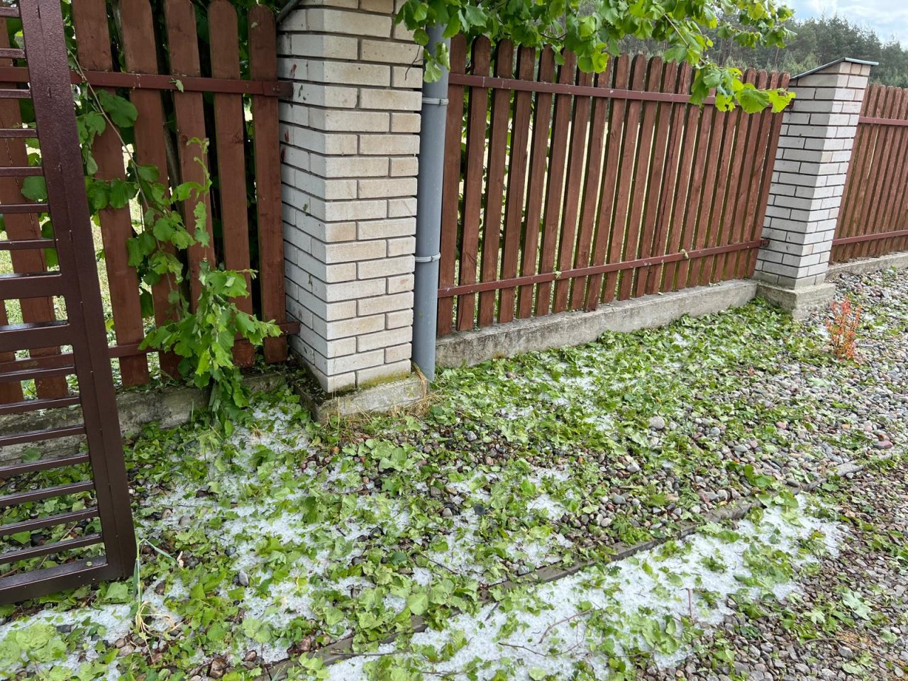 IMG-20240520-WA0010
