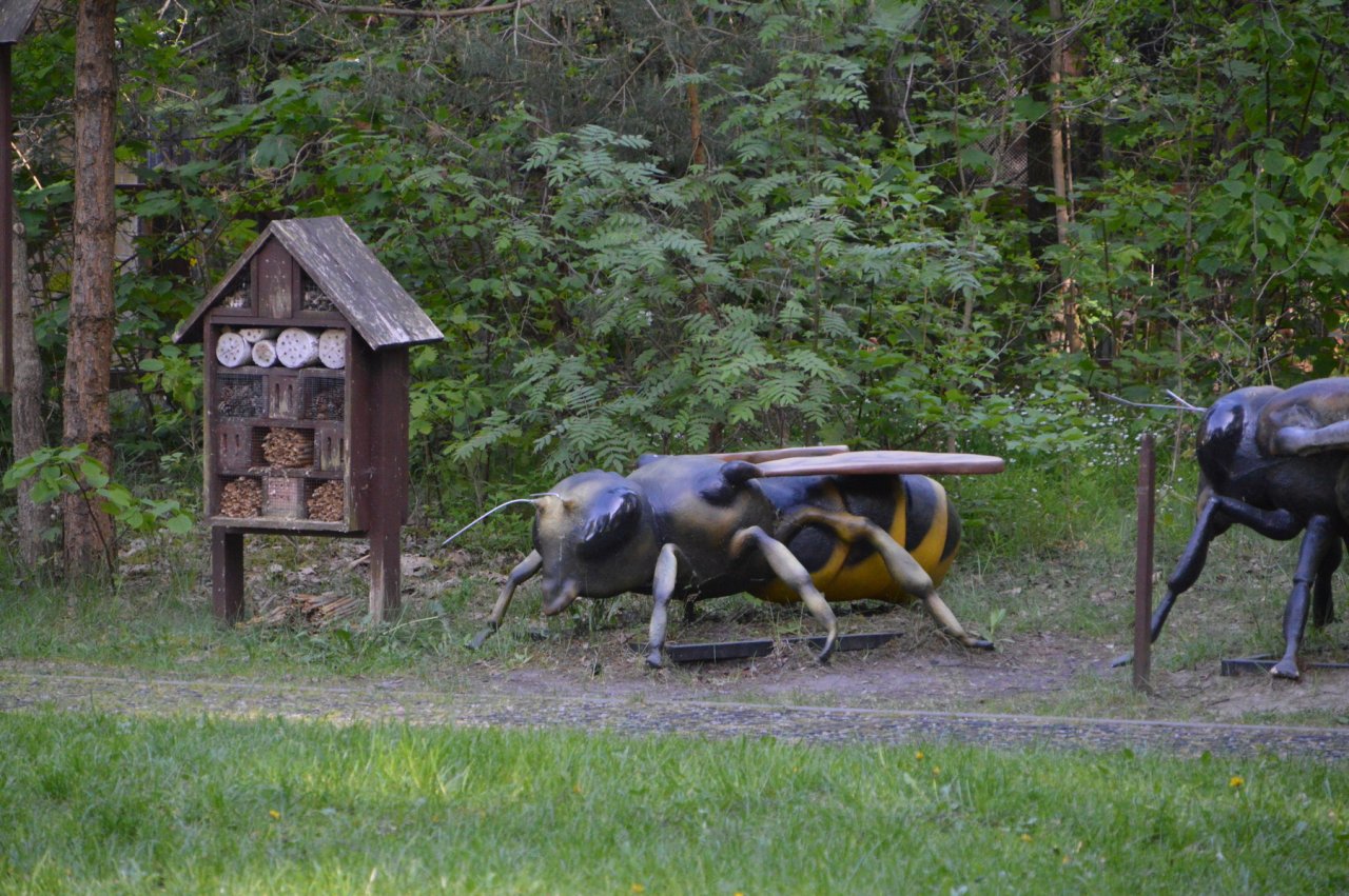DSC_4590