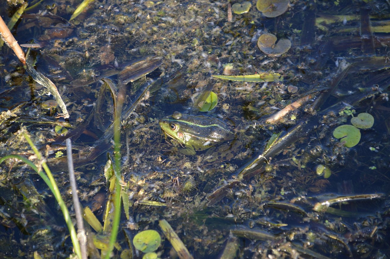 DSC_4676