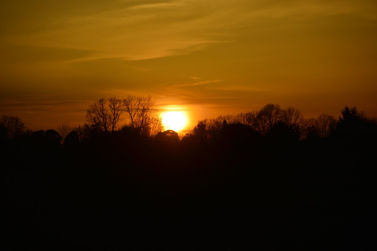 DSC_4728