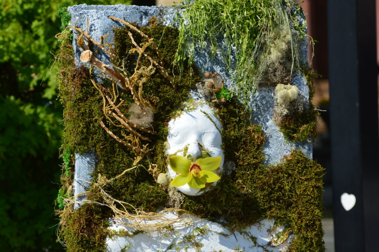 DSC_8068