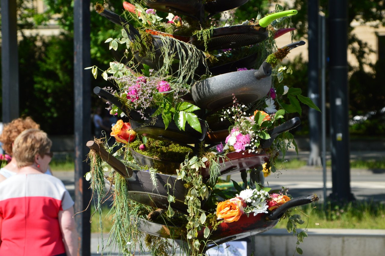 DSC_8097