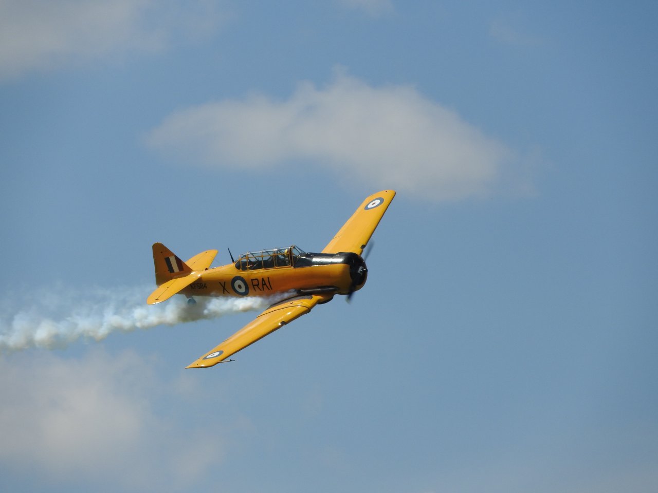DSCN8846