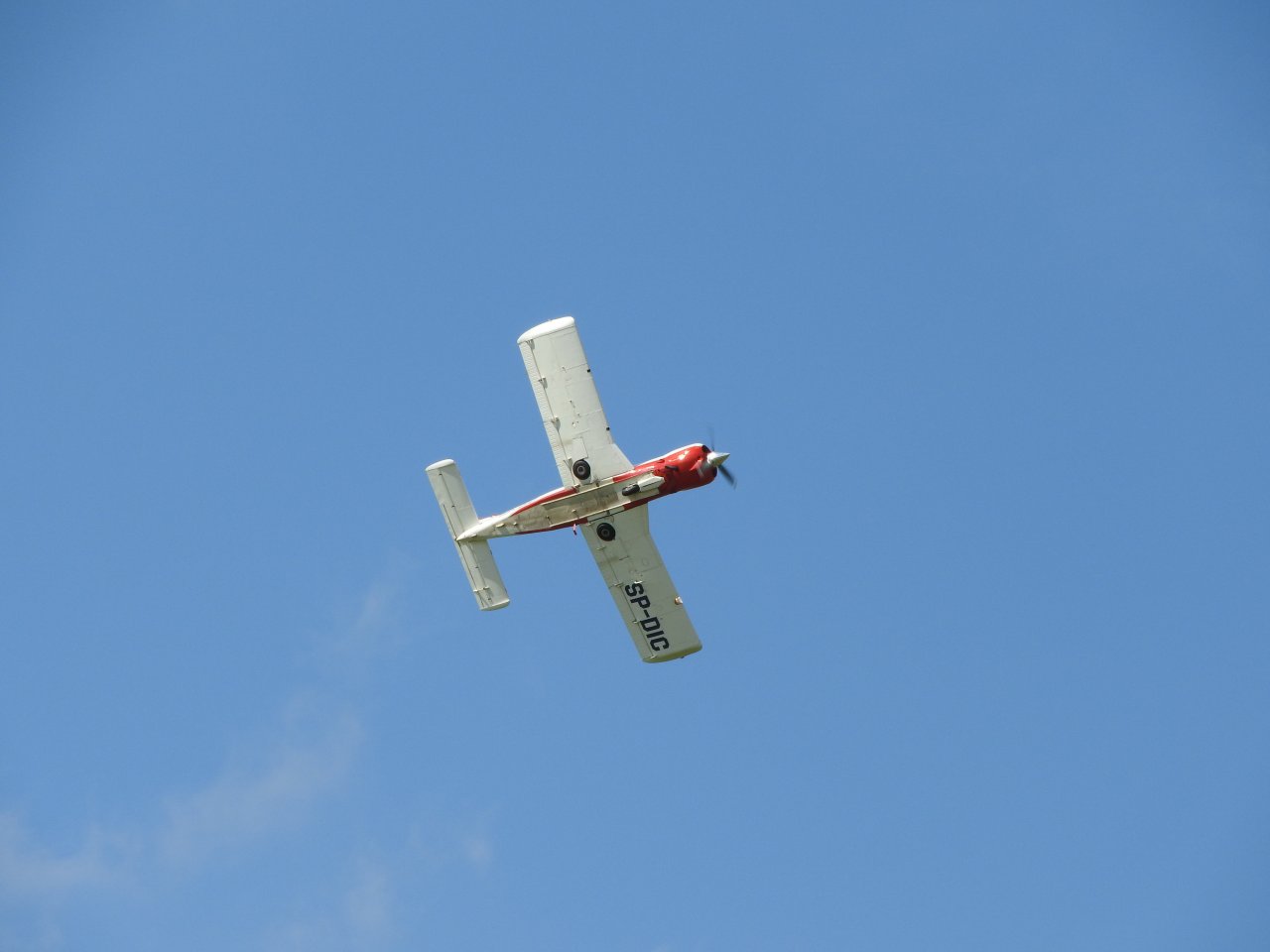 DSCN8861