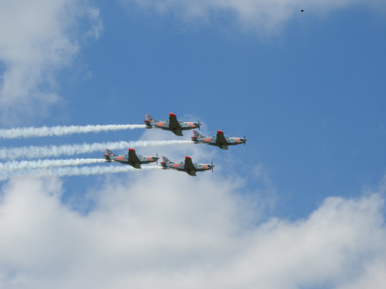 DSCN8875