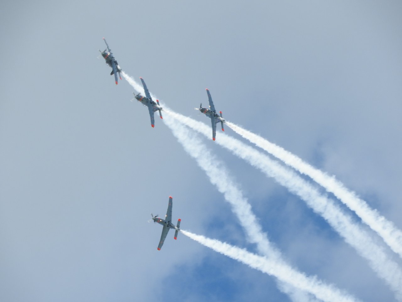 DSCN8877