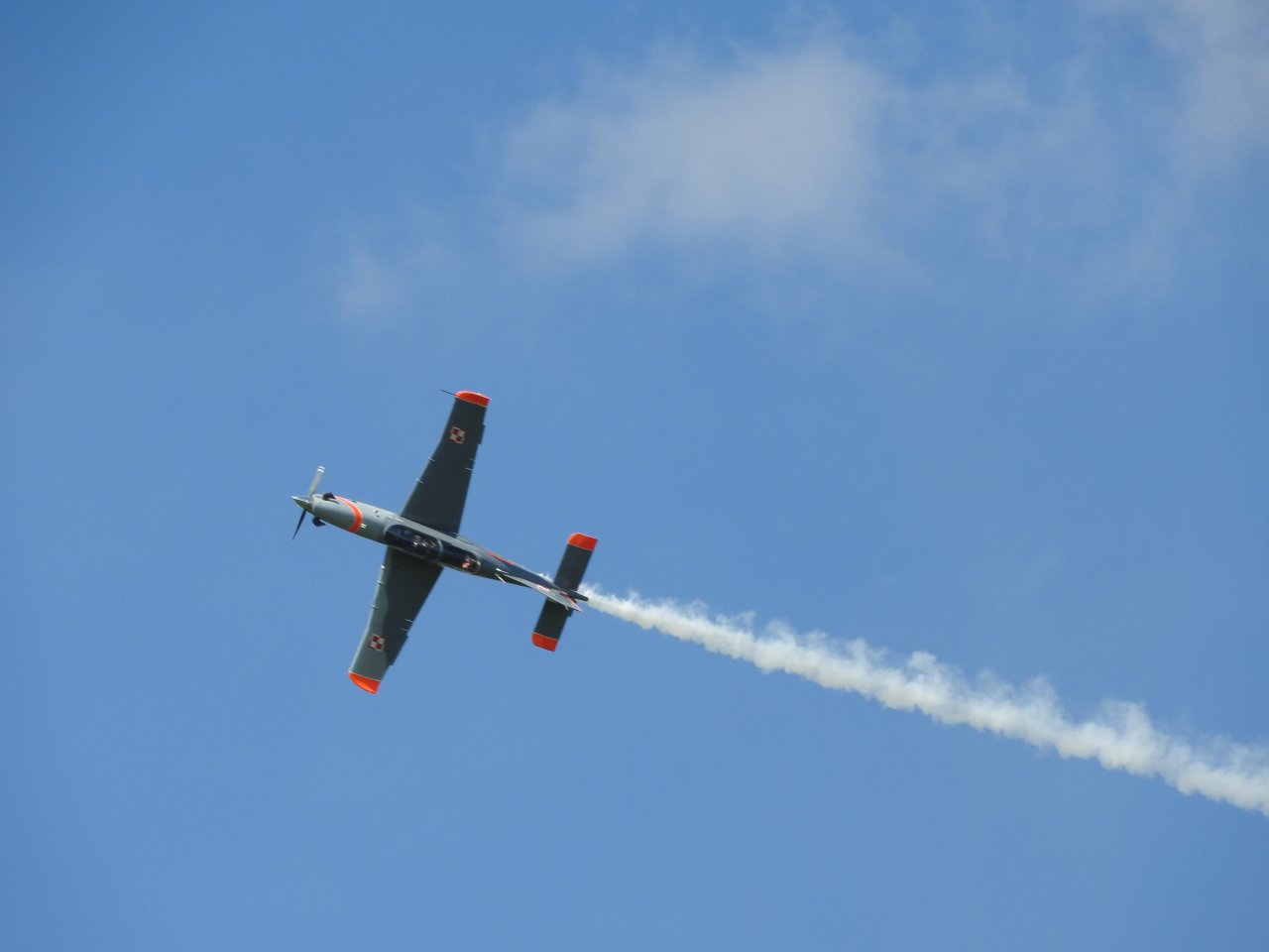 DSCN8885