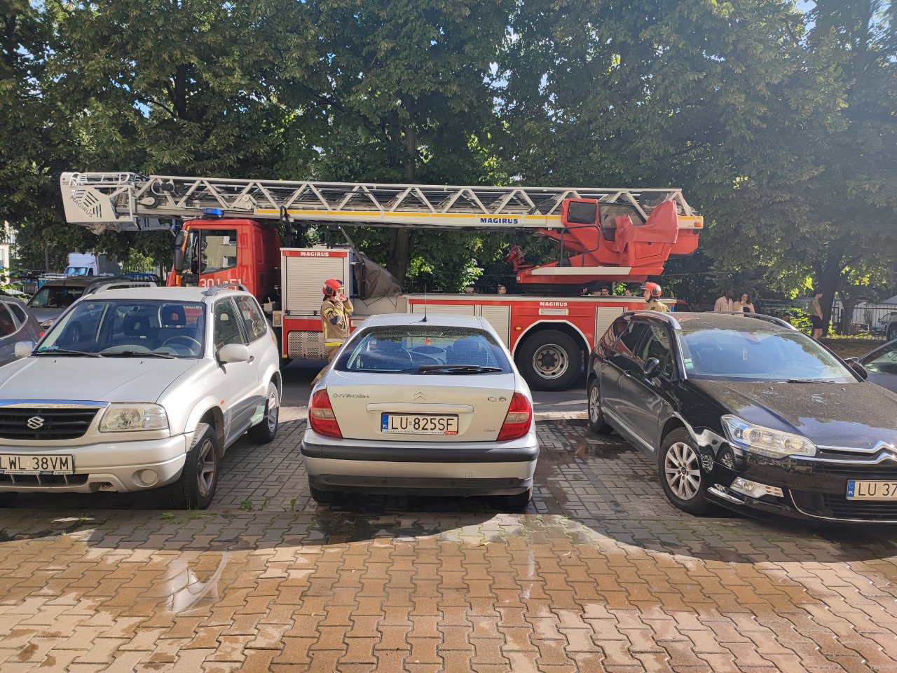 IMG_20240623_080456