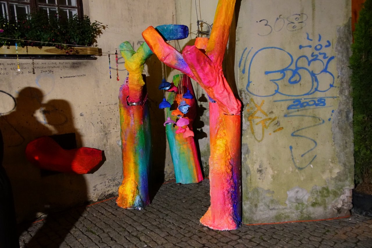 DSC03011