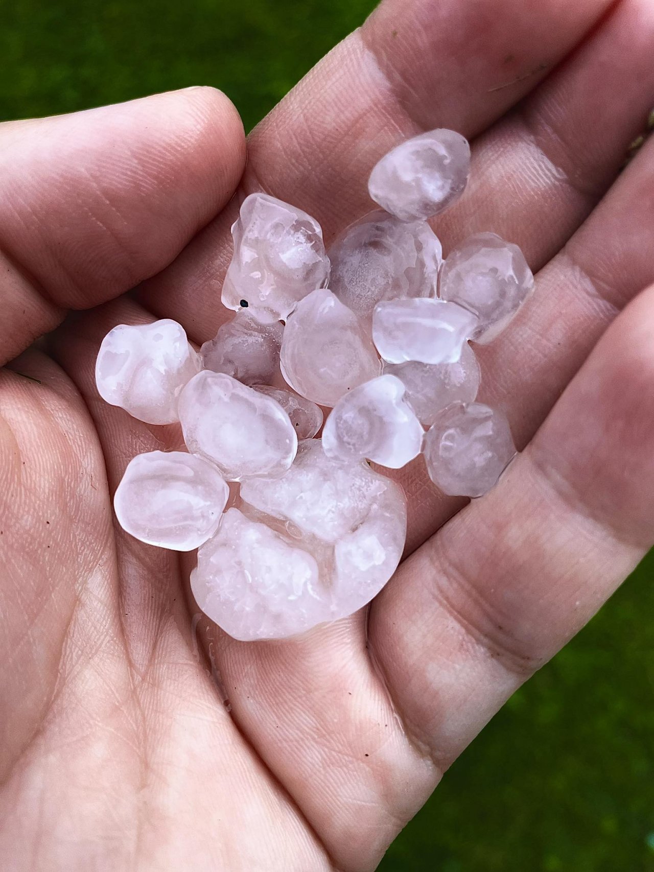 received_1562612021333404
