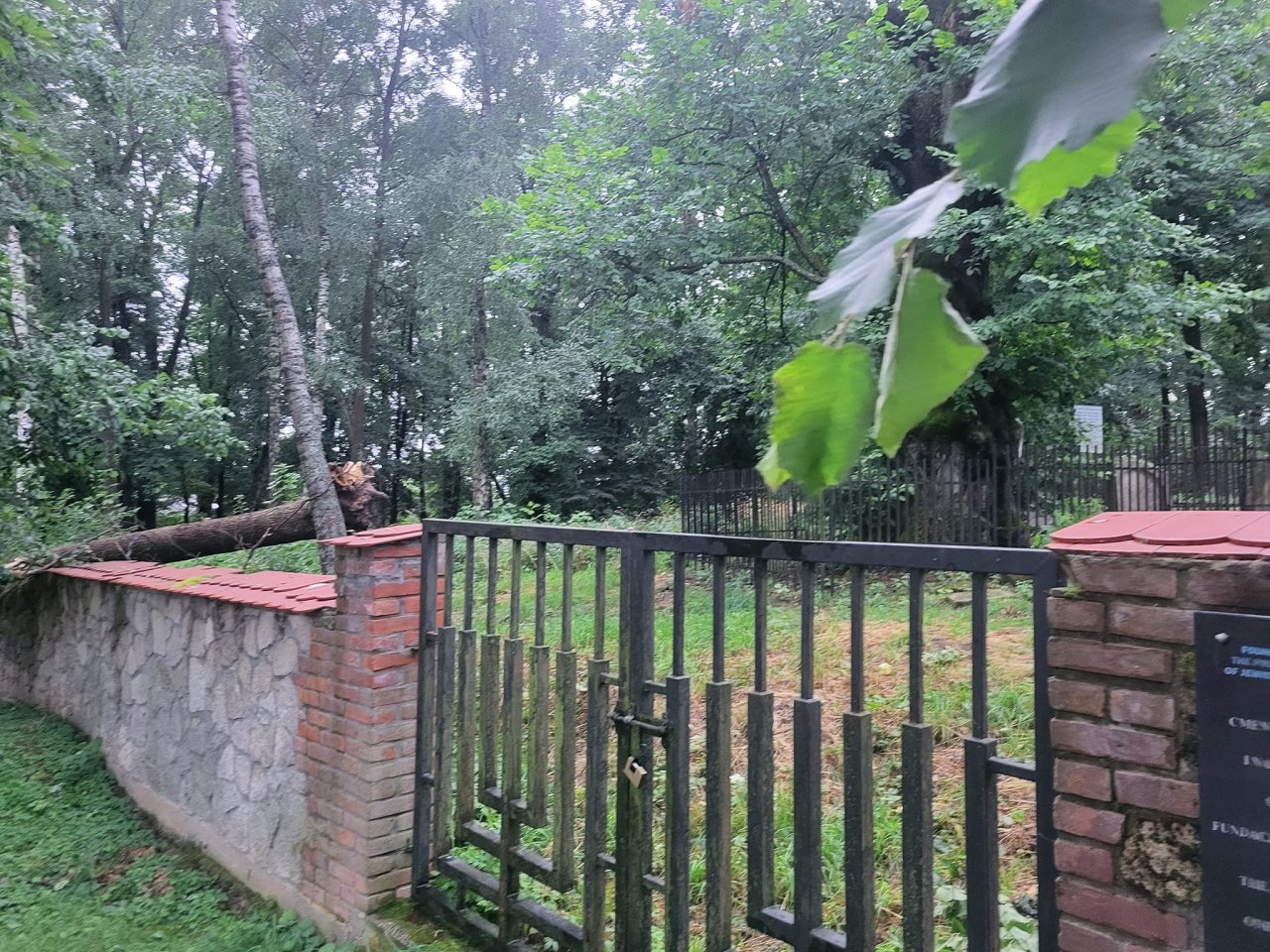 128e53