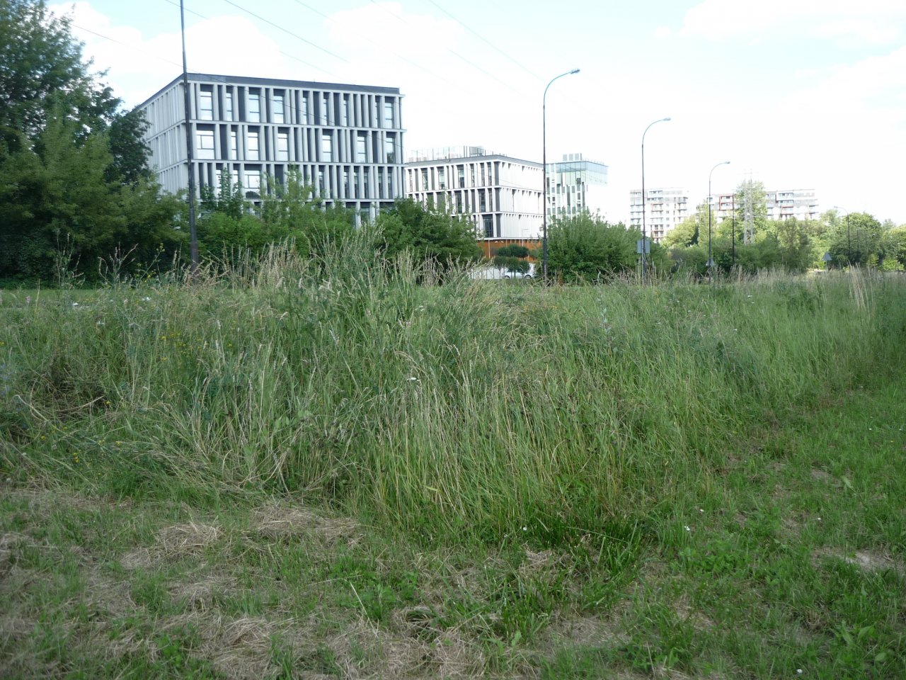P1250424
