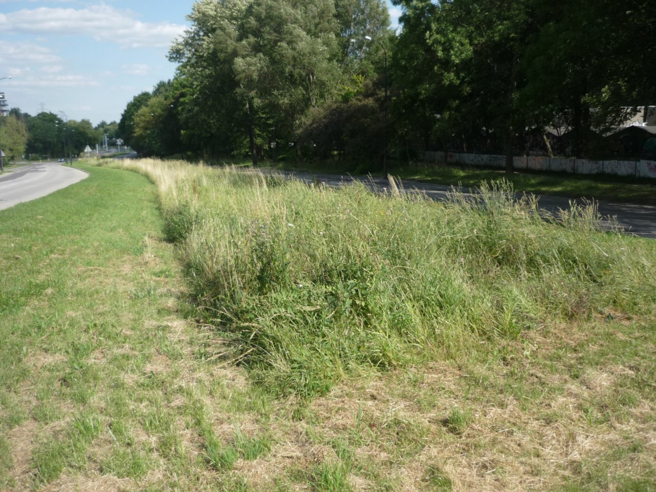 P1250445