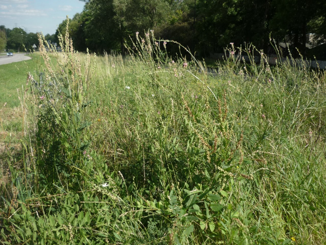 P1250446