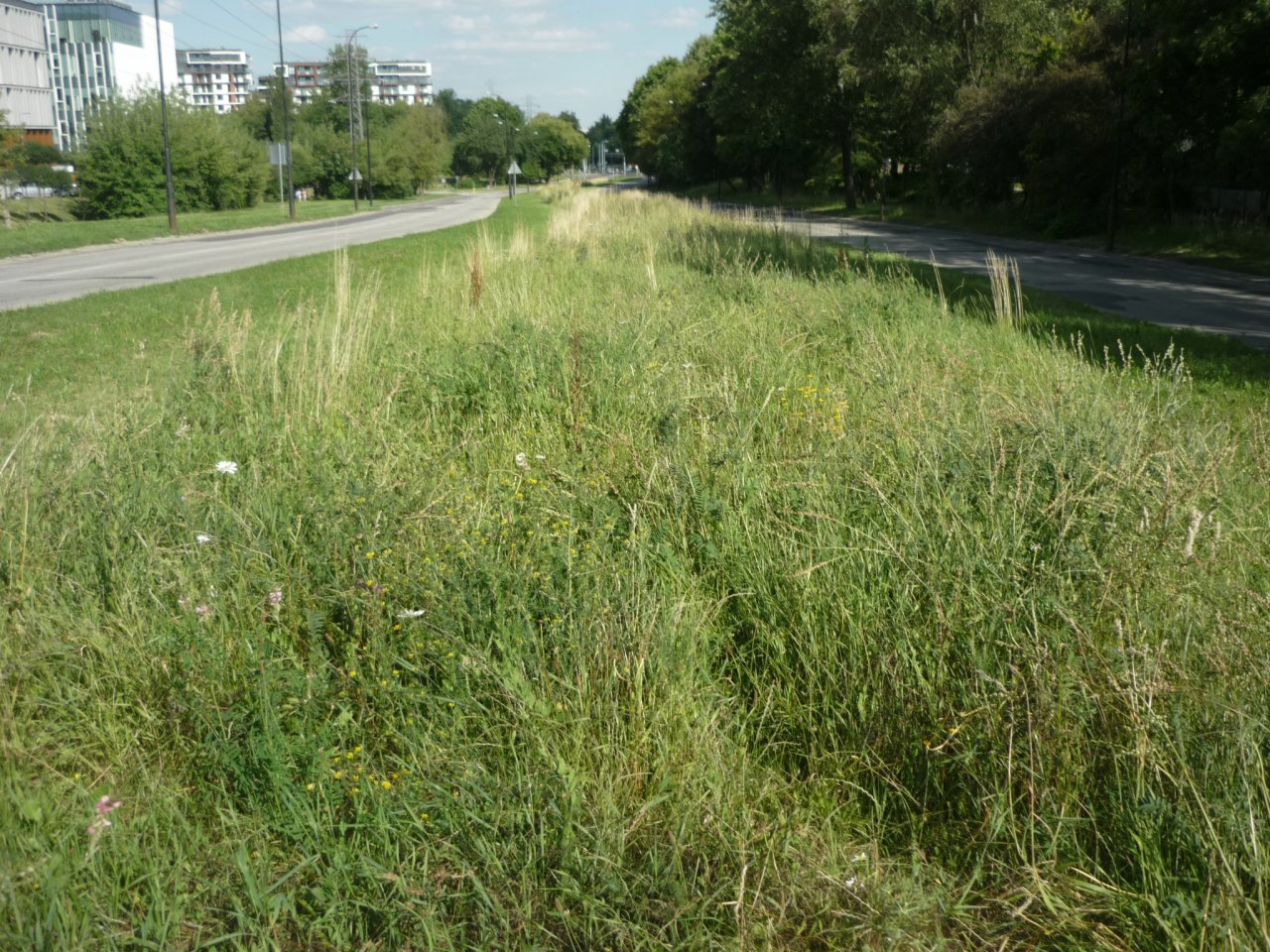 P1250451