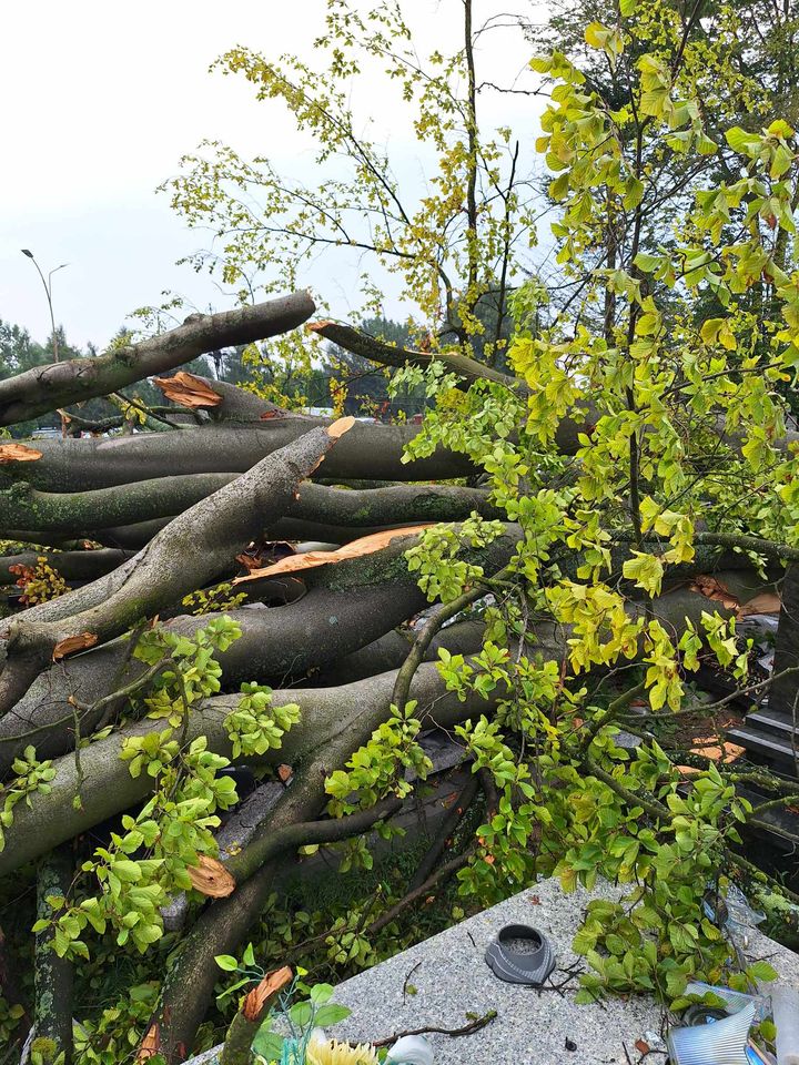 450810073_2209391412732528_3729734122353381122_n