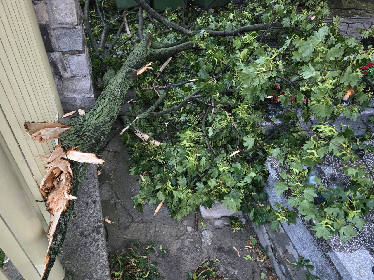 20240819_195102