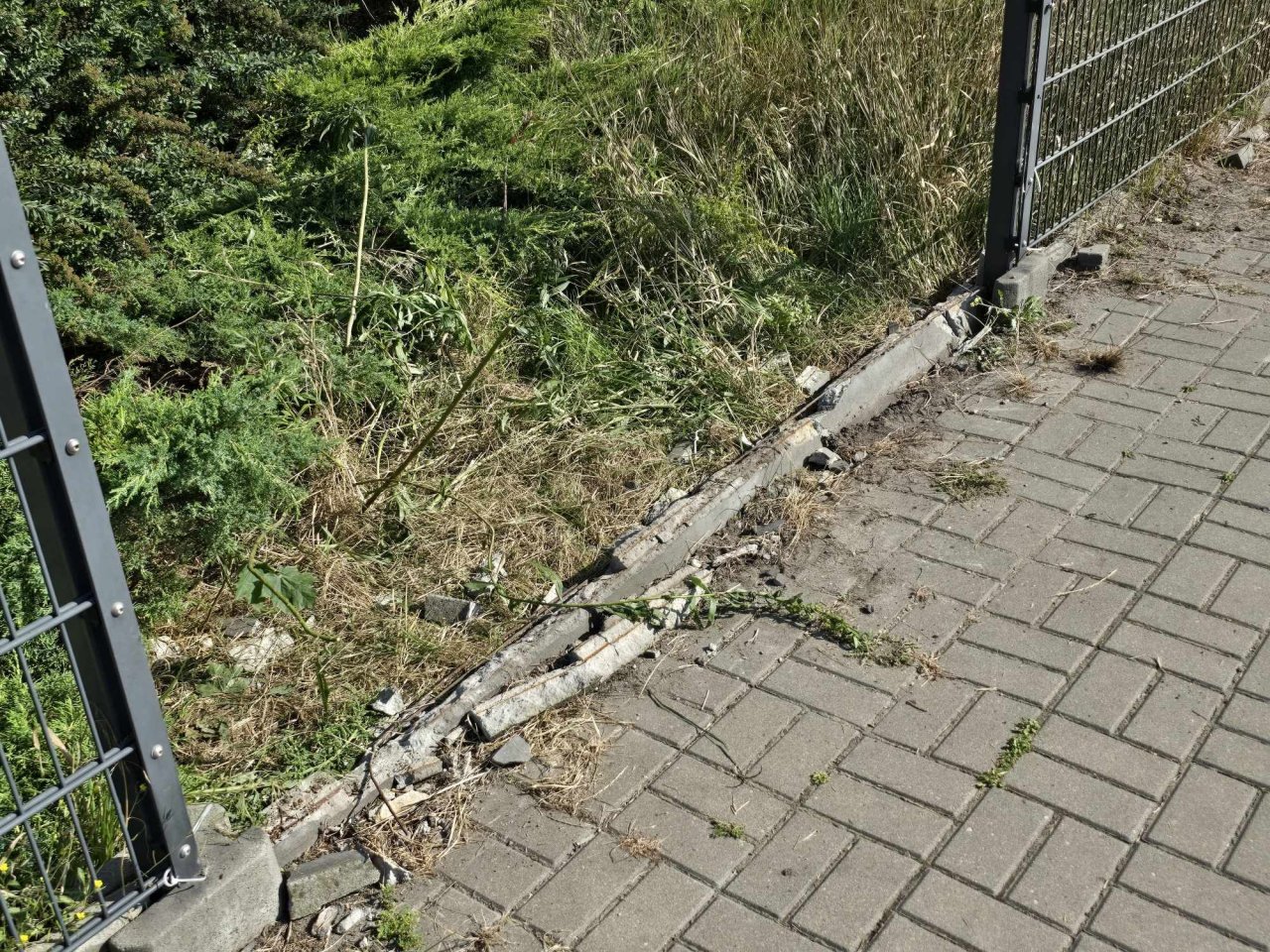 453603481_1062802482141458_7933245391647777916_n