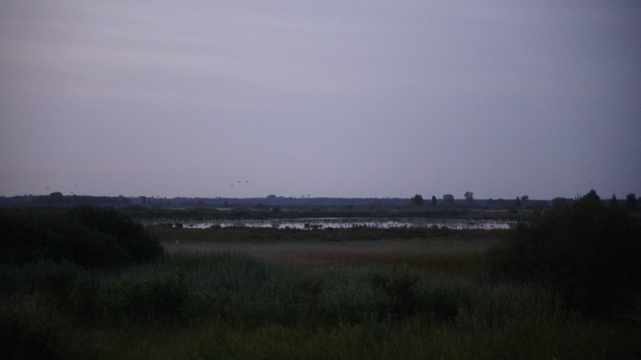 128o65