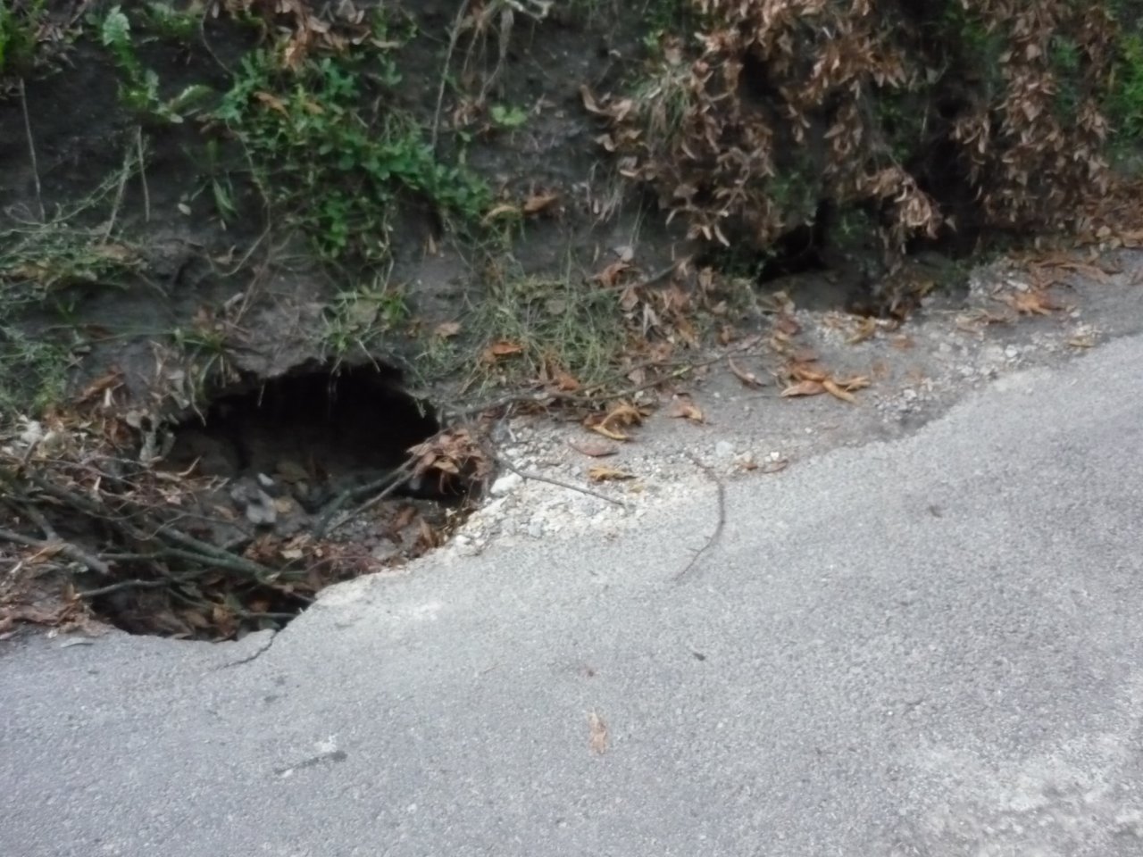 P1250836
