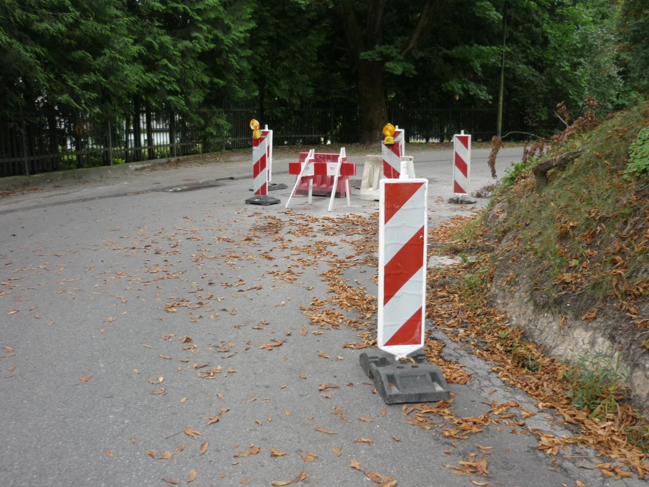 P1250908