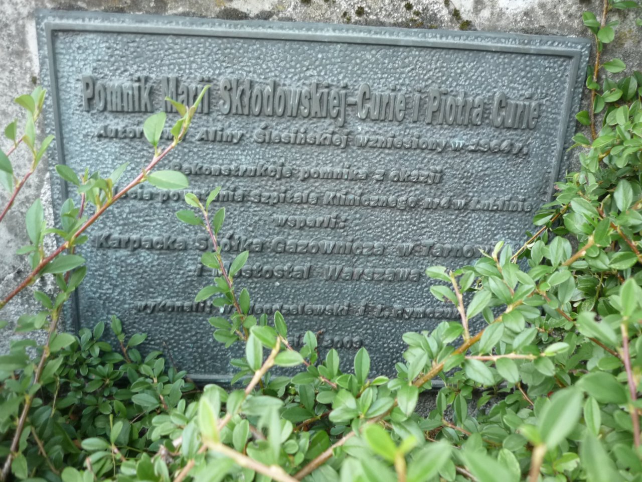 P1260063