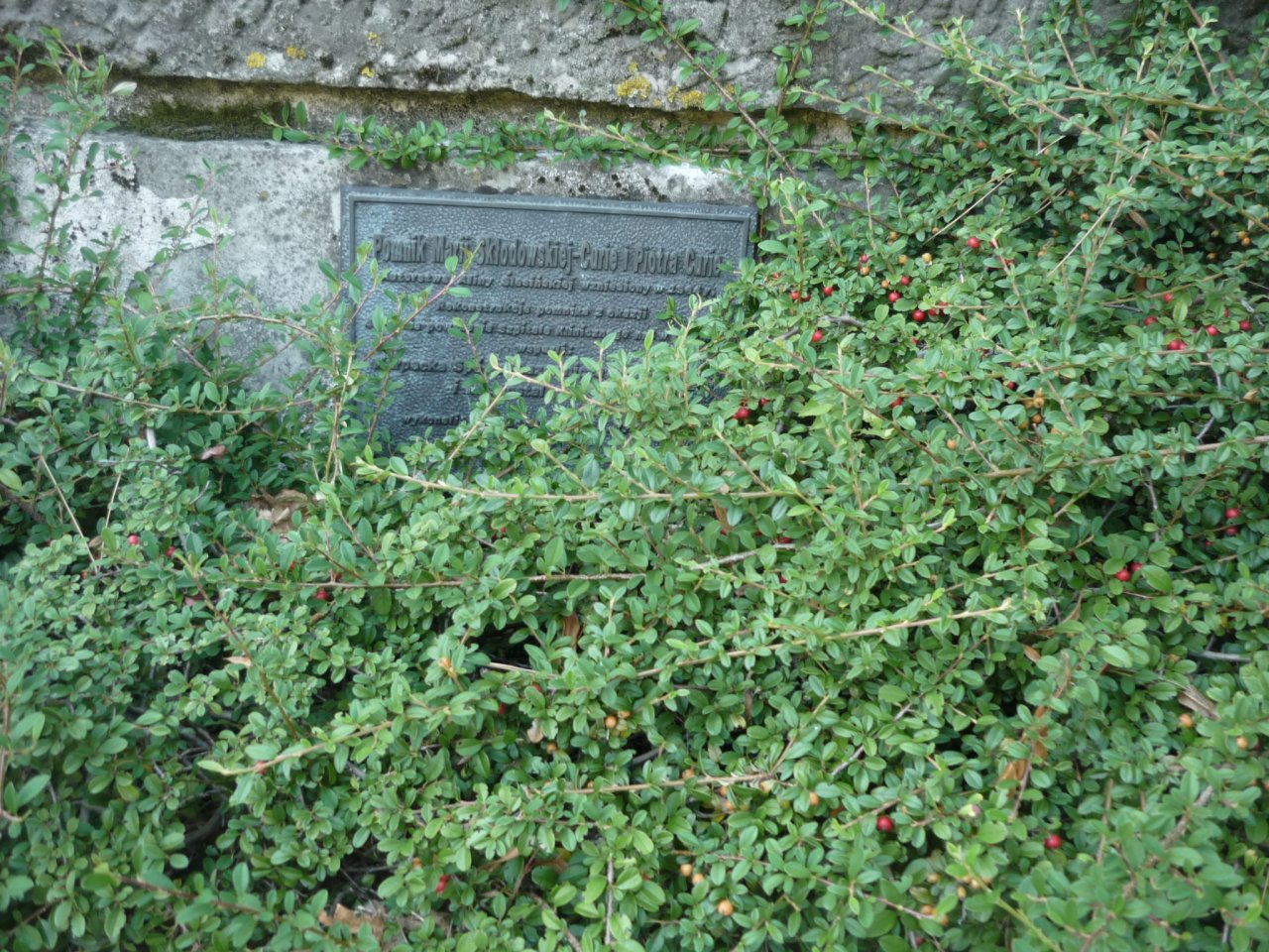 P1260064