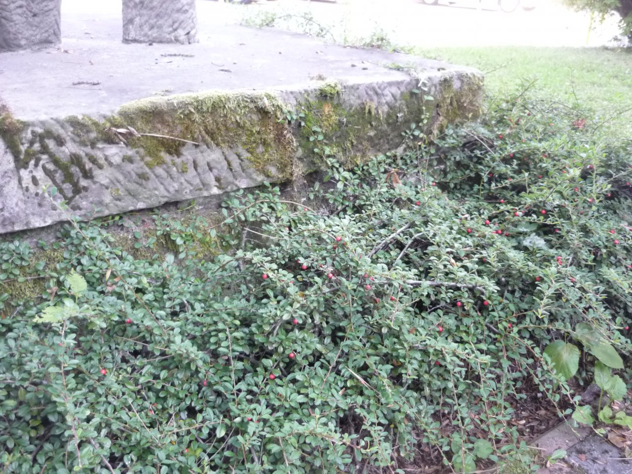 P1260069