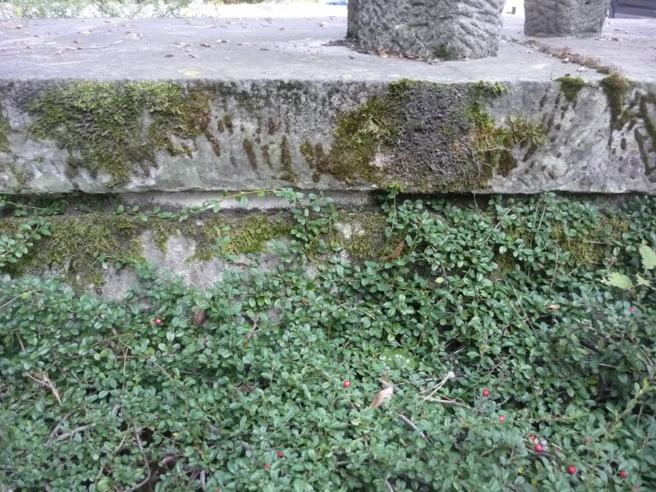 P1260070