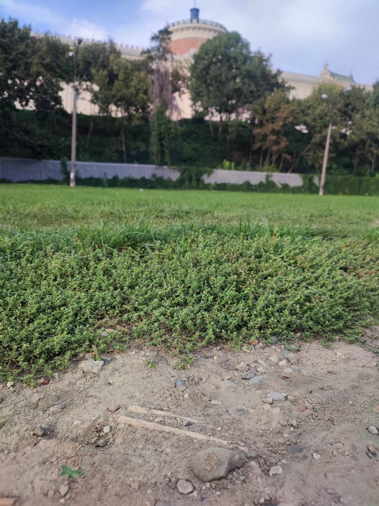 129i7