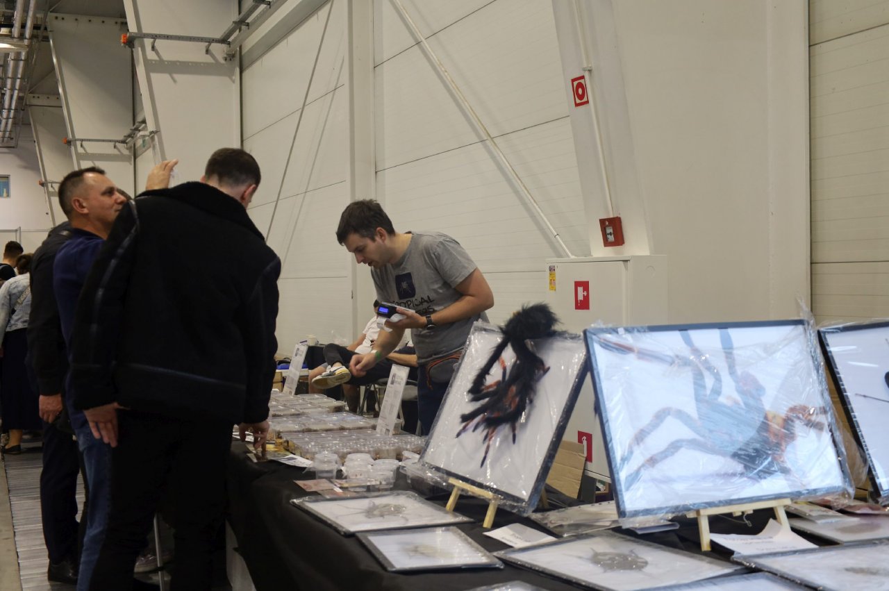 129z21