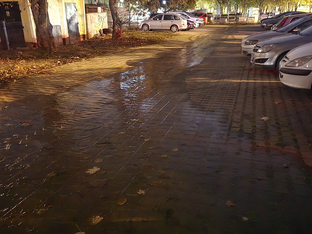 20241020_202508