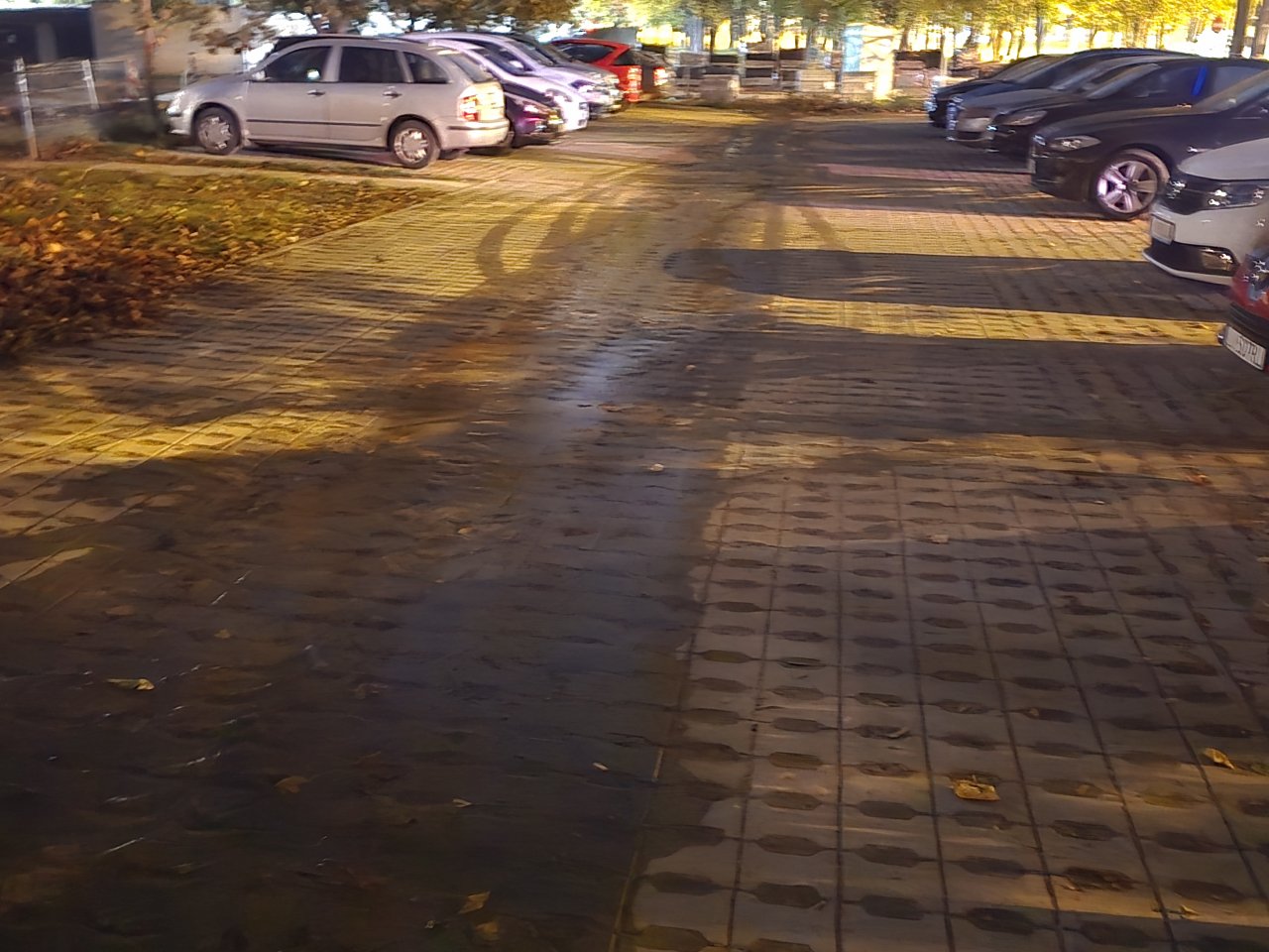 20241020_202607